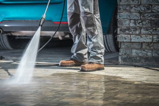 Best Pool Deck Cleaning in Ladysmith, WI