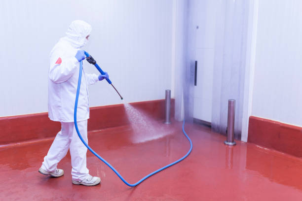 Best Soft Washing for Delicate Surfaces in Ladysmith, WI