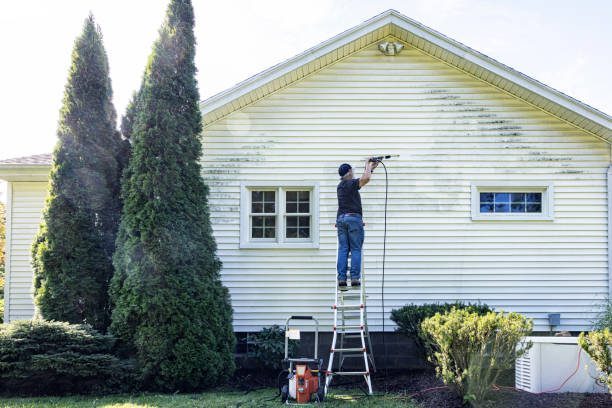 Best Window and Screen Pressure Cleaning in Ladysmith, WI