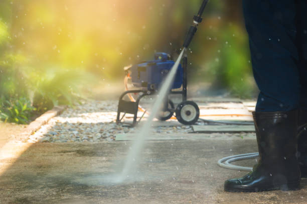 Best Driveway Cleaning and Restoration in Ladysmith, WI